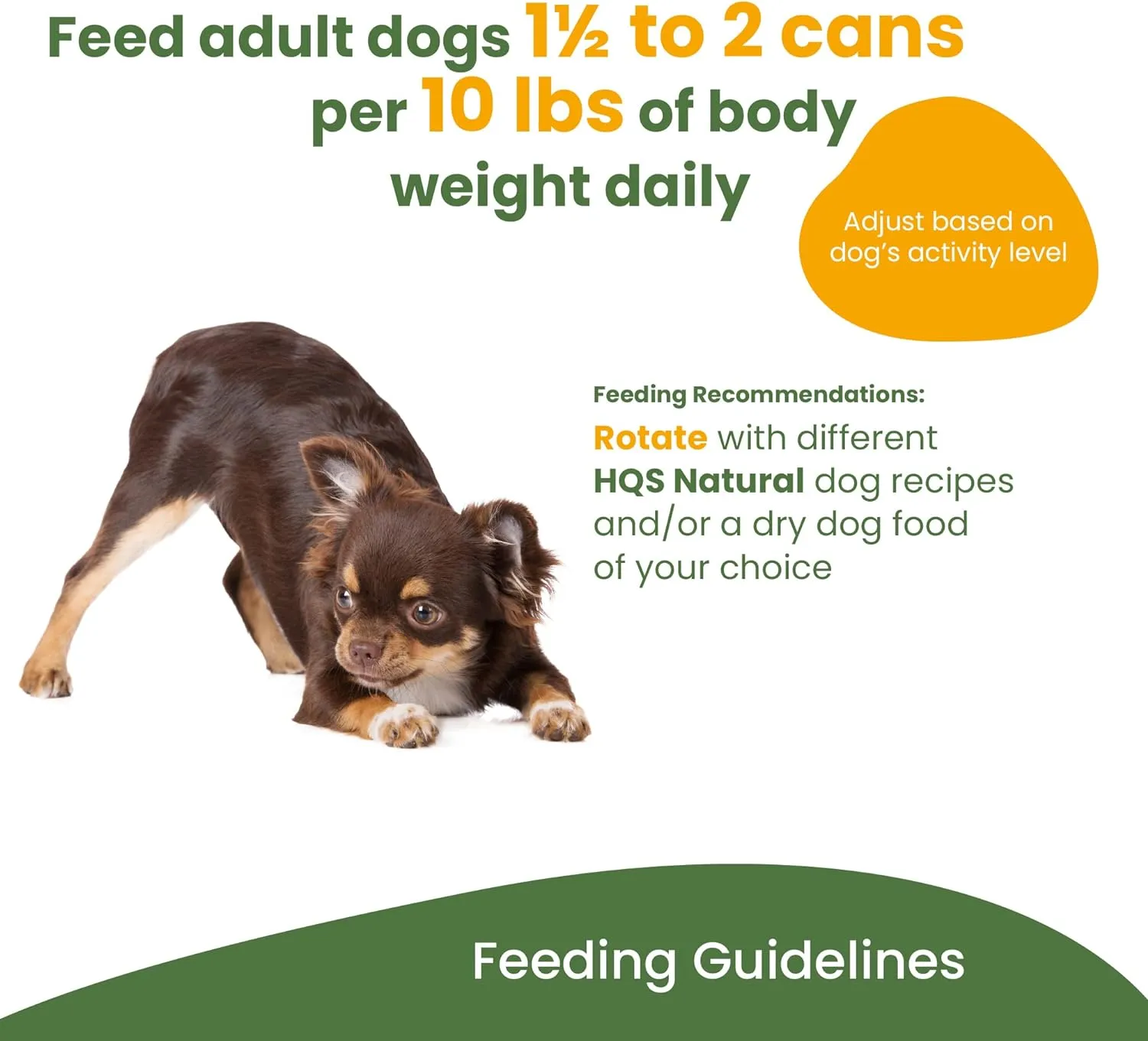 Almo Nature HQS Complete Chicken Dinner With Cheese & Egg Dog Wet Food