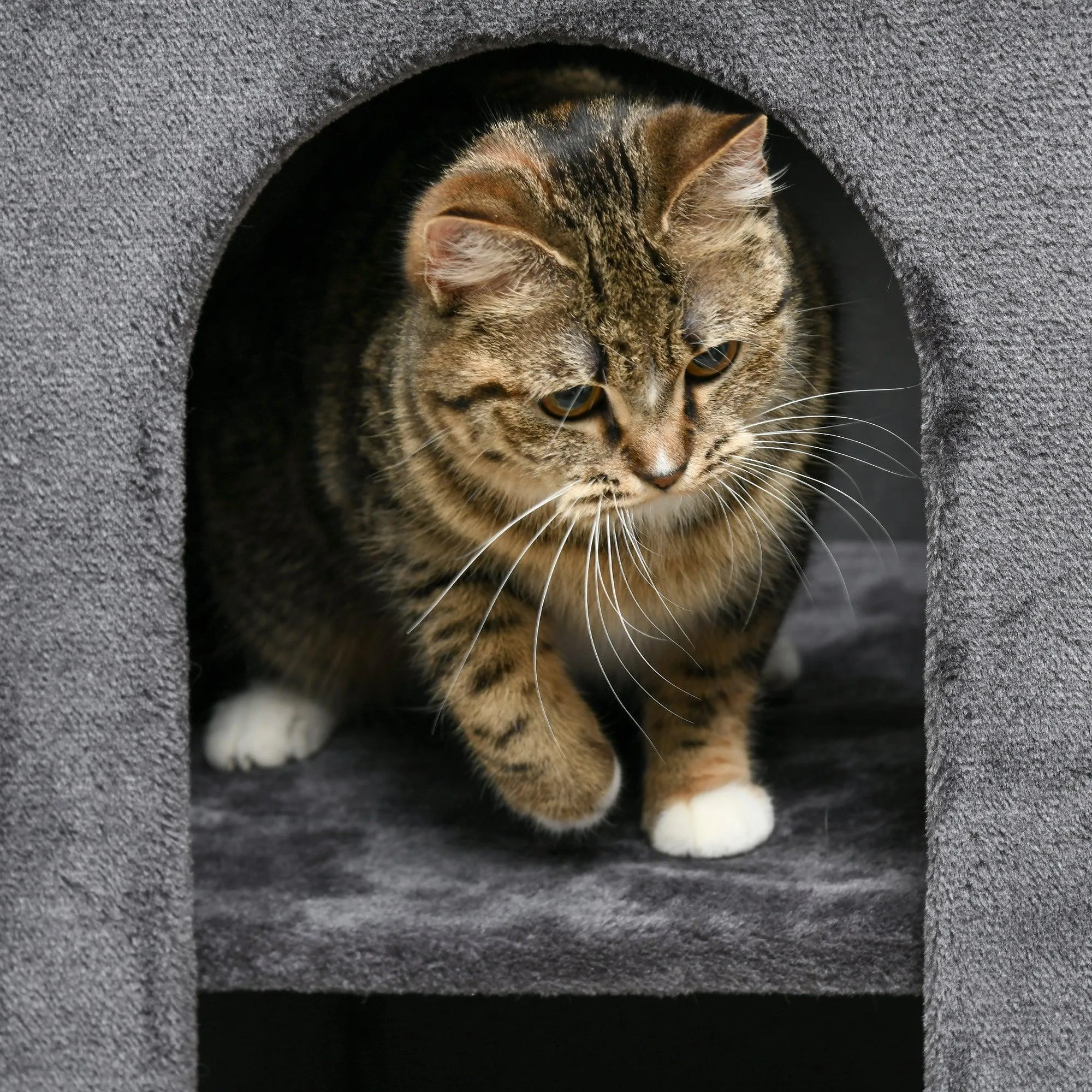 Cat Scratching Barrel w/ Condos - Dark Grey