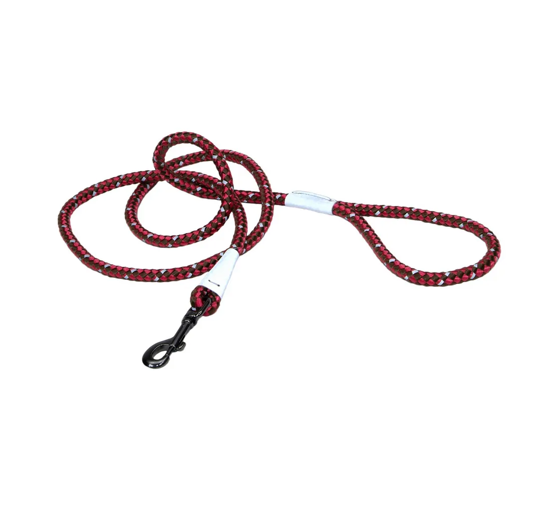 Coastal K9 Explorer Reflective Rope Snap Leash