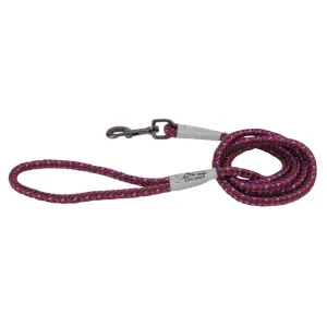 Coastal K9 Explorer Reflective Rope Snap Leash