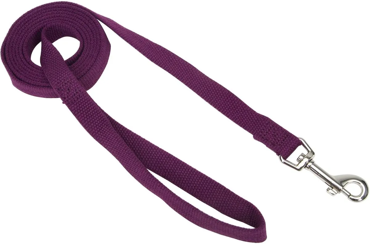 Coastal Soy Leash