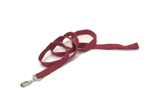 Coastal Soy Leash