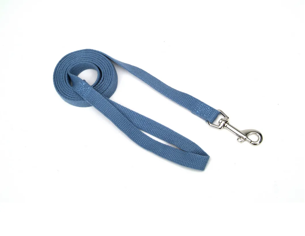 Coastal Soy Leash