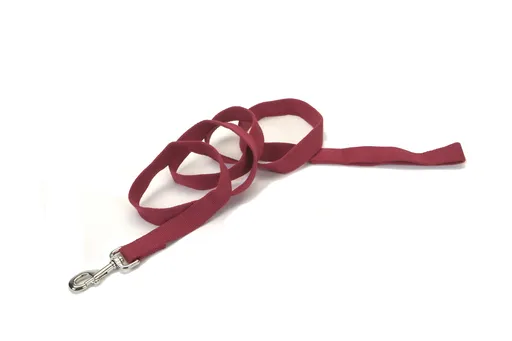 Coastal Soy Leash