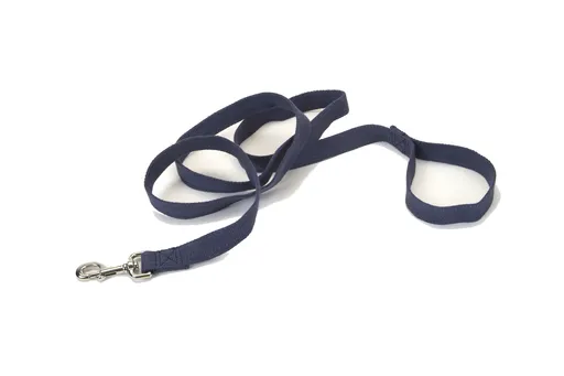 Coastal Soy Leash