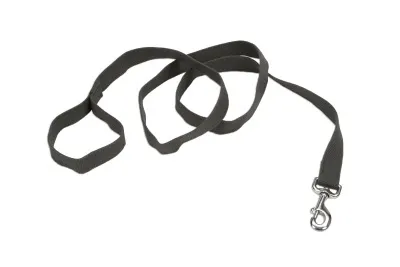 Coastal Soy Leash
