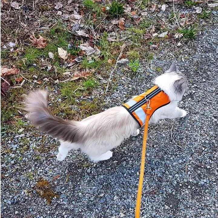 Custom Kitty Holster Reflective Safety Vest (Made in USA)