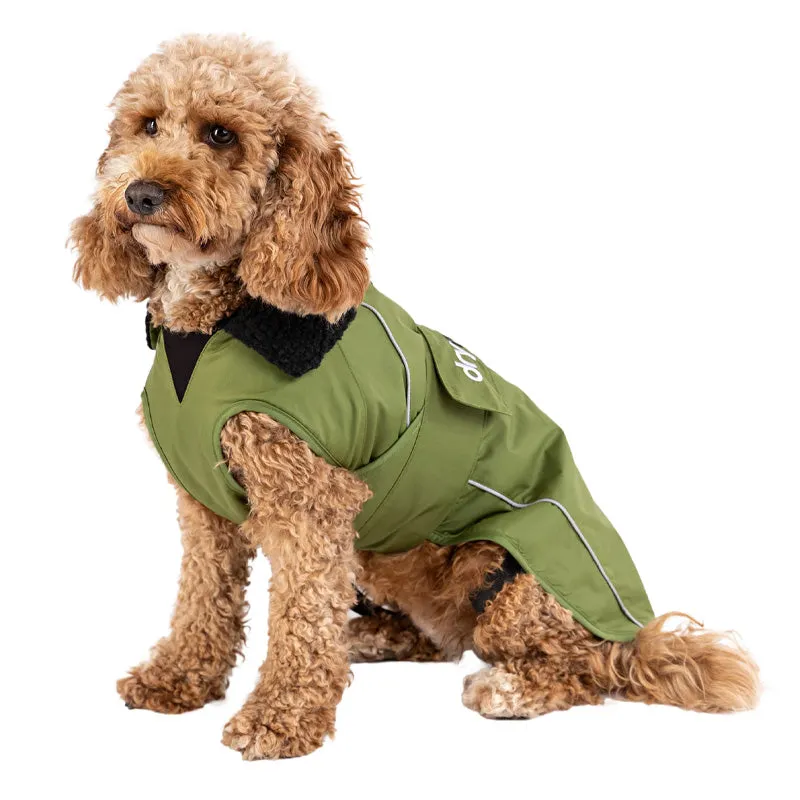 Dryrobe Dog