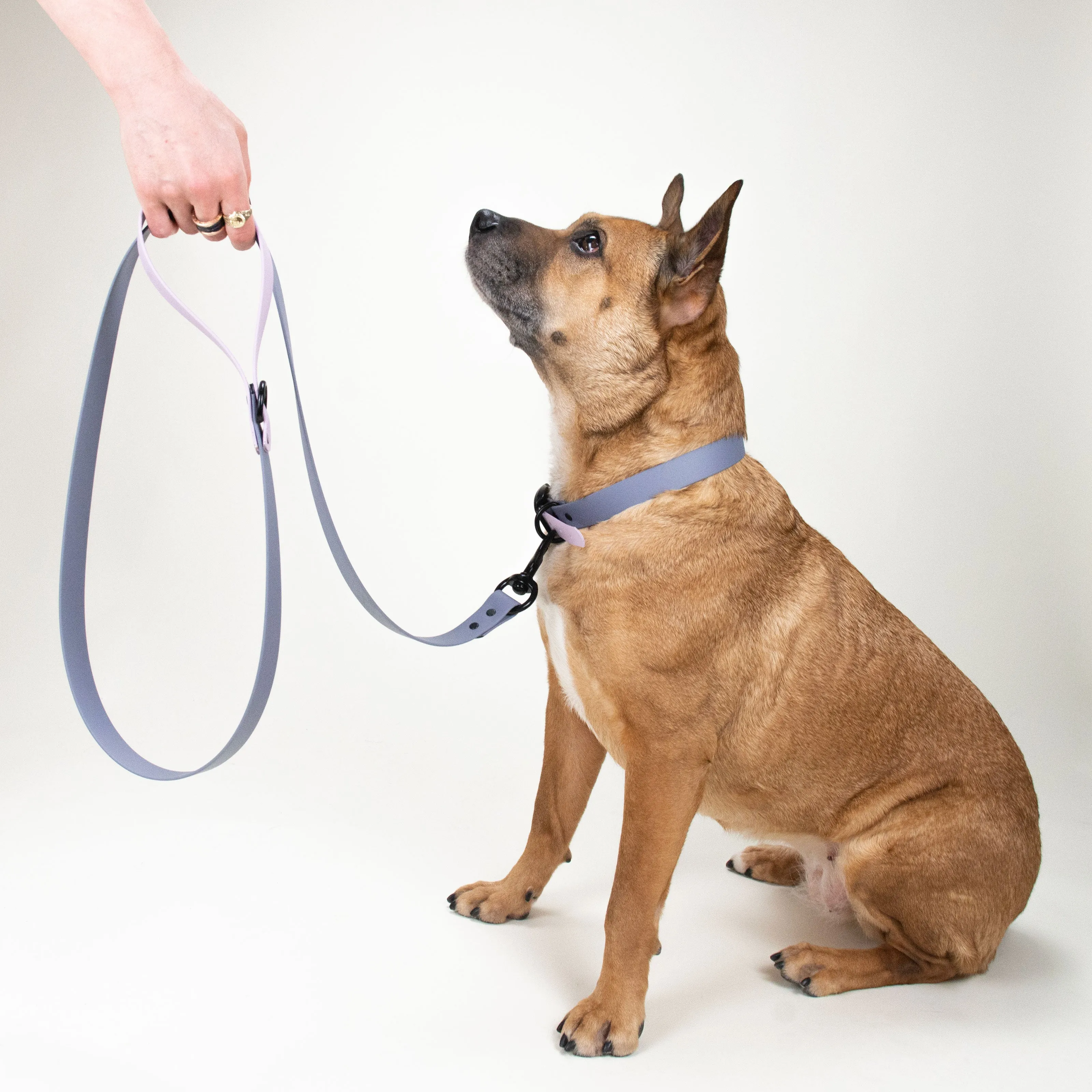 Dual-Tone BioThane Leash in White & Brown