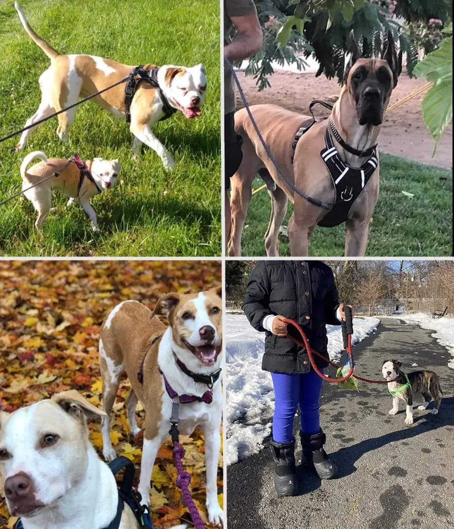 Durable Rope Dog Leashes - Meet Steady Strides! 🐾💪