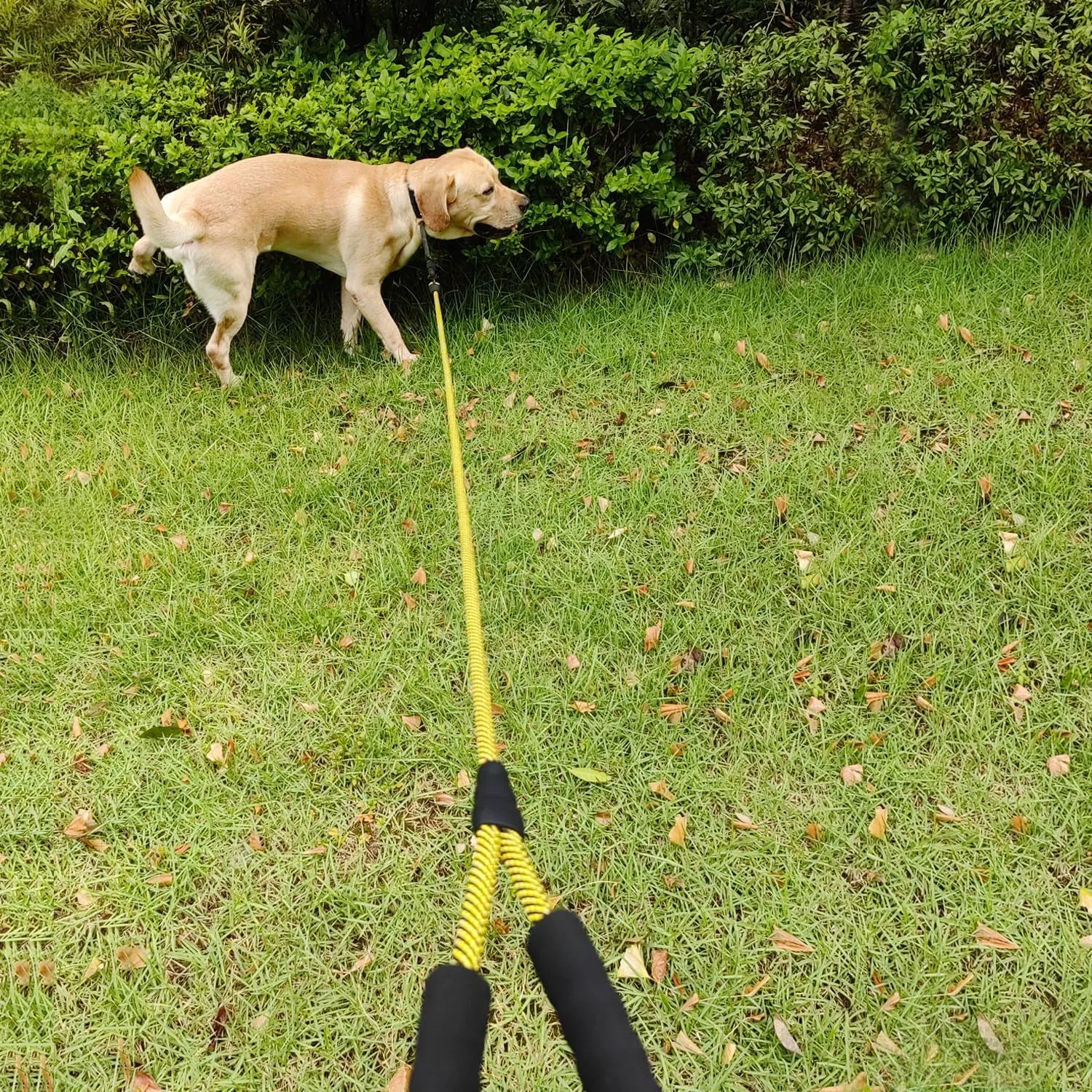 Durable Rope Dog Leashes - Meet Steady Strides! 🐾💪
