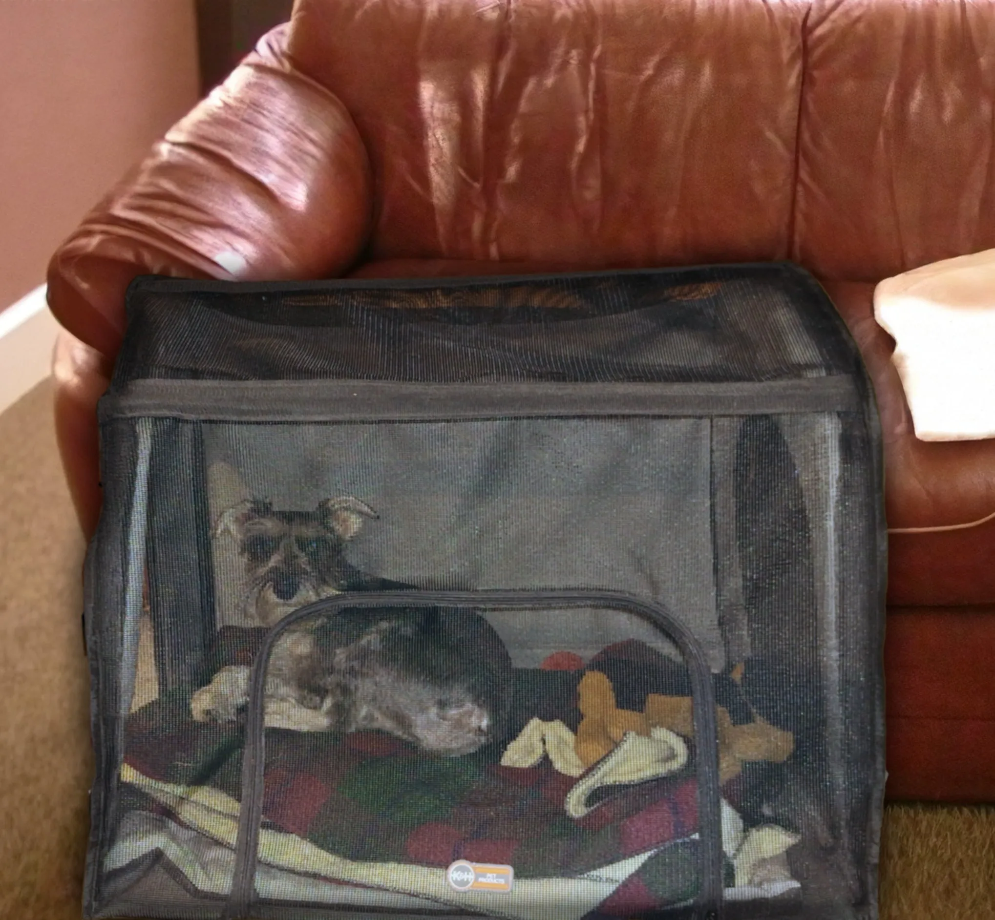 K&H Travel Safety Carrier