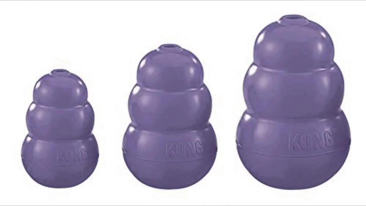 KONG - Senior