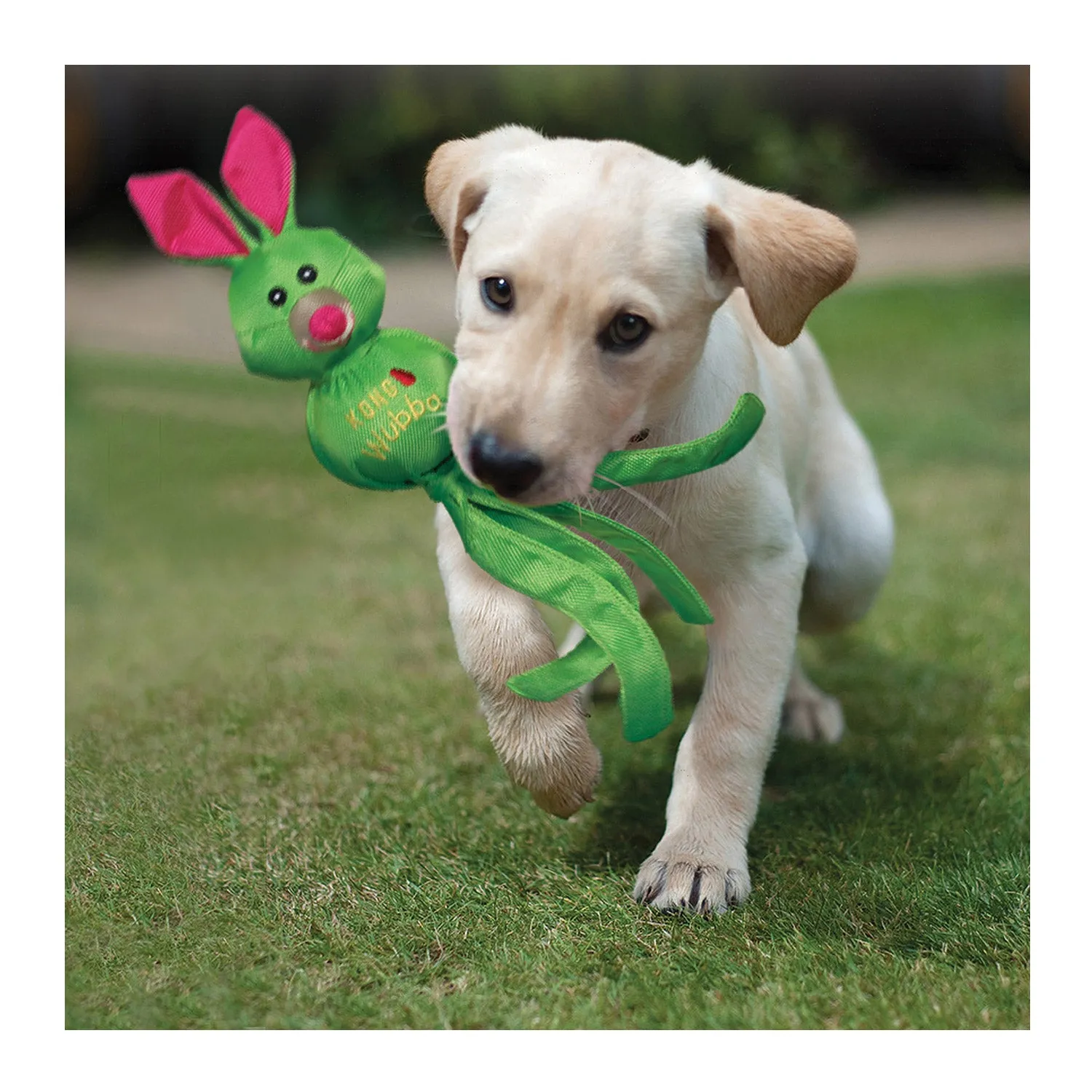 KONG Wubba Friends Ballistic Dog