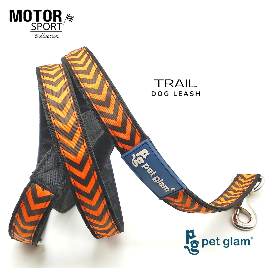 Leash for Dogs TRAIL- Strong Dog Leash for big dogs