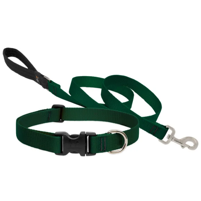 Lupine Collars & Leashes - 1"