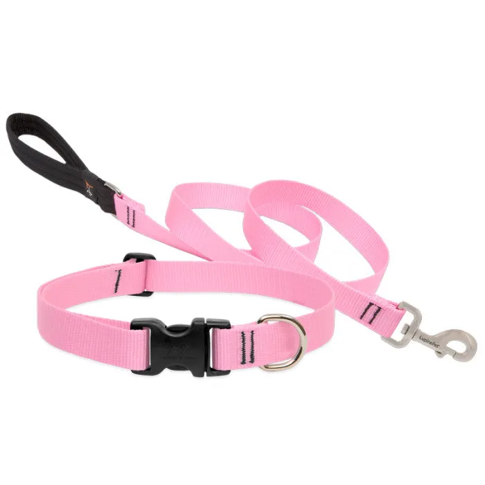 Lupine Collars & Leashes - 1"