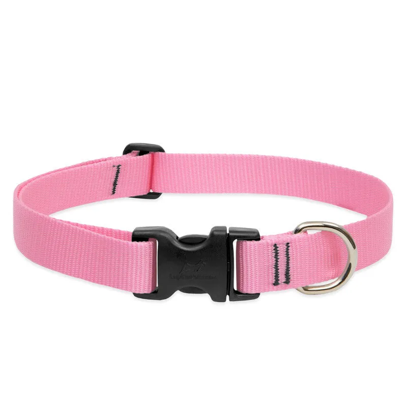 Lupine Collars & Leashes - 1"