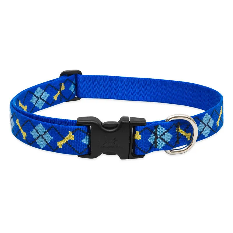 Lupine Collars & Leashes - 1"