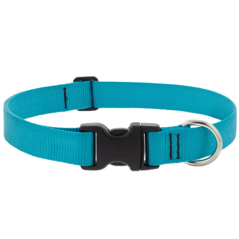 Lupine Collars & Leashes - 1"