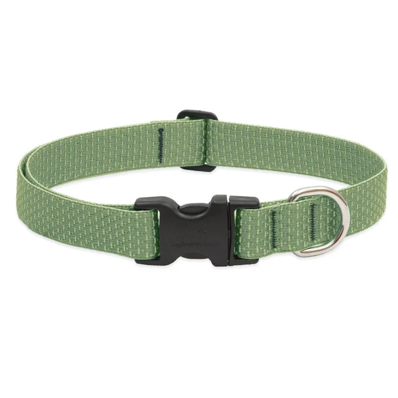 Lupine Collars & Leashes - 1"