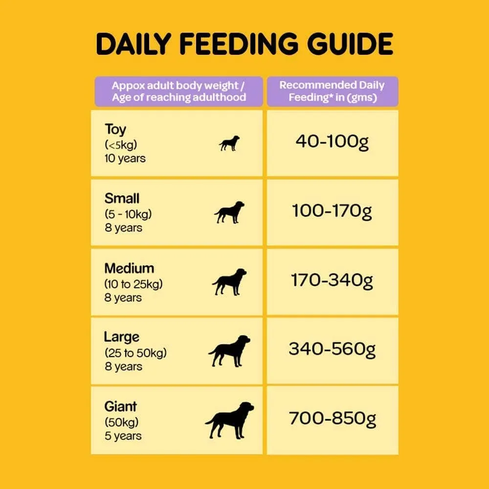 Pedigree Chicken & Rice Senior Dog Dry and Chicken and Liver Chunks in Gravy Adult Dog Wet Food Combo