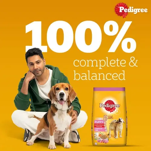 Pedigree Chicken and Milk Puppy Dog Dry Food (Limited Shelf Life)