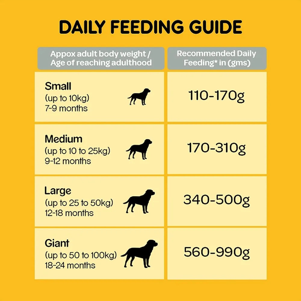 Pedigree Chicken, Egg and Rice and Chicken and Liver Chunks in Gravy Adult Dry and Wet Food Combo