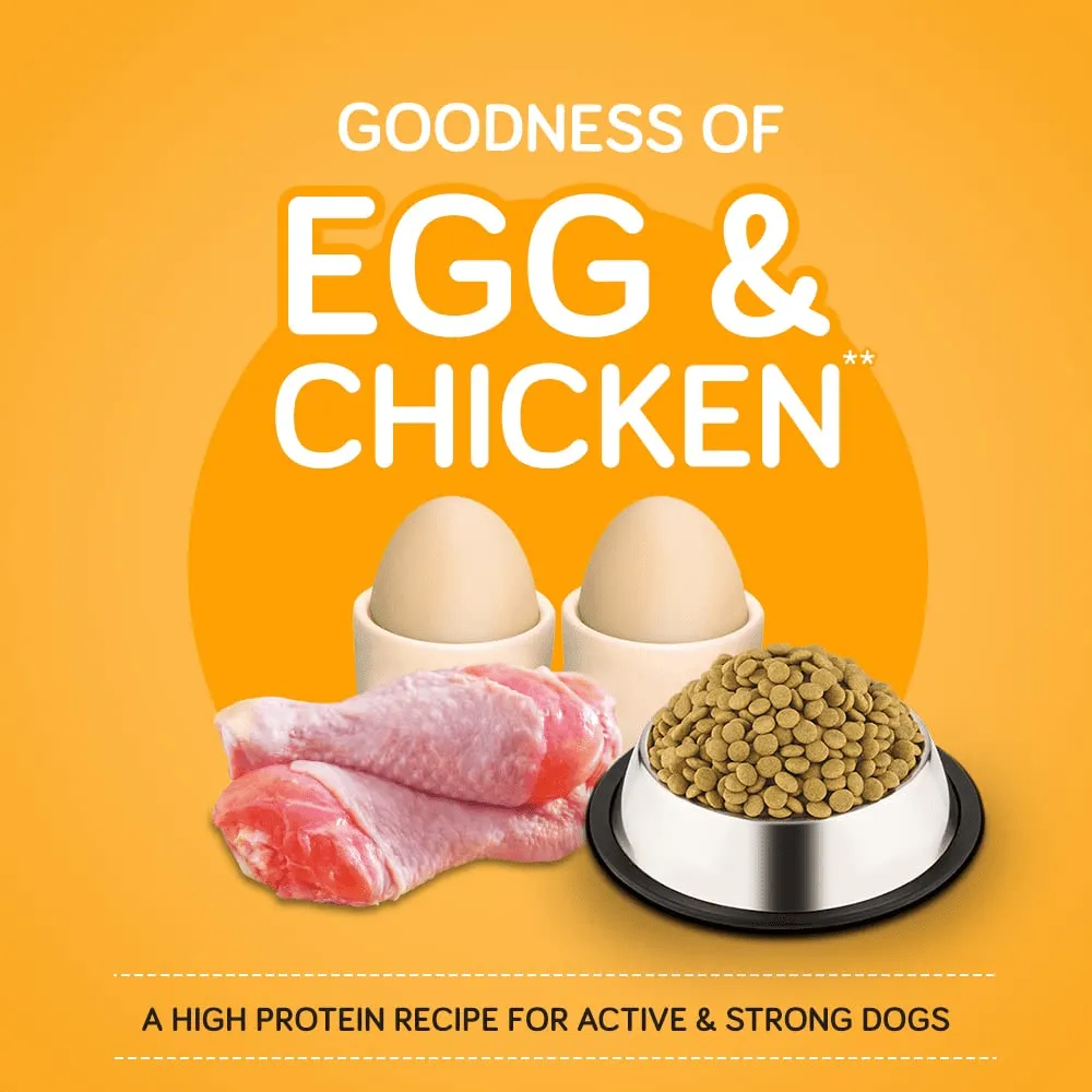 Pedigree Chicken, Egg and Rice and Chicken and Liver Chunks in Gravy Adult Dry and Wet Food Combo