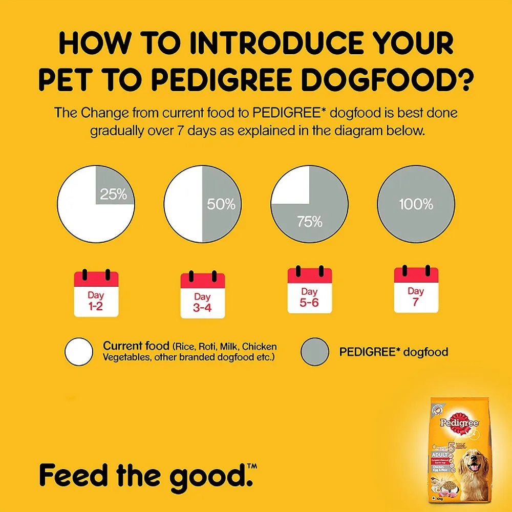 Pedigree Chicken, Egg and Rice and Chicken and Liver Chunks in Gravy Adult Dry and Wet Food Combo