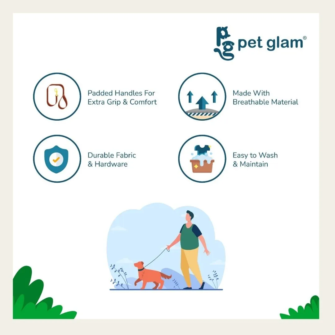 Pet Glam-Dog Leash For Puppies and Large Dogs-Aqua-Soft Handle-Strong Dog Leash-5 Ft Long 1 inch Wide-Sprint