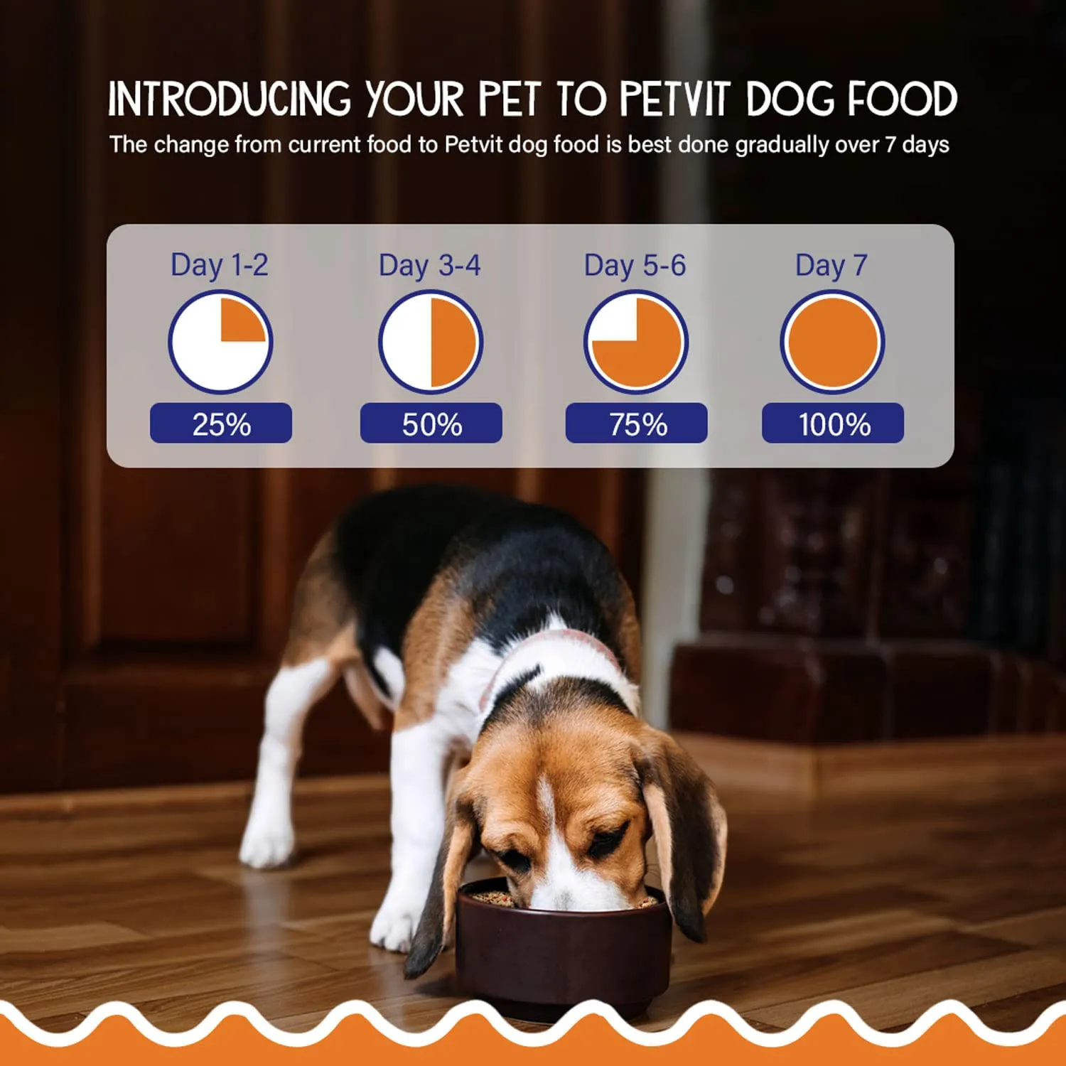 Petvit Chicken Rice Dog Food with Real Chicken Meat, Supports Joint and Bone Health, Enhanced with Antioxidant-Rich Turmeric - Healthy and Nutritional Pet Food | Pack of 15 (200g Each)