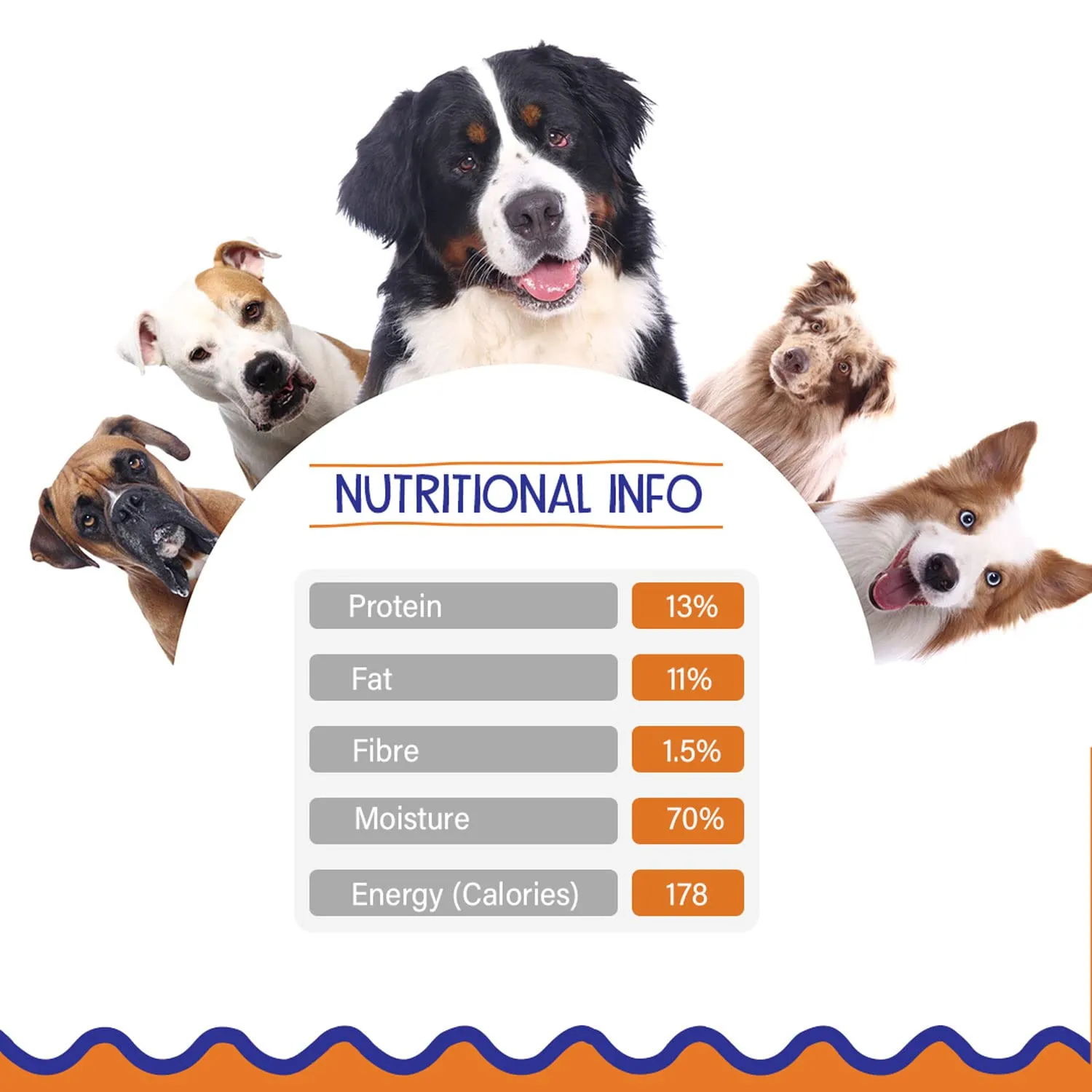 Petvit Chicken Rice Dog Food with Real Chicken Meat, Supports Joint and Bone Health, Enhanced with Antioxidant-Rich Turmeric - Healthy and Nutritional Pet Food | Pack of 15 (200g Each)