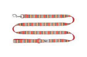 RC Pets Leash for Dogs in Multi Stripes Pattern
