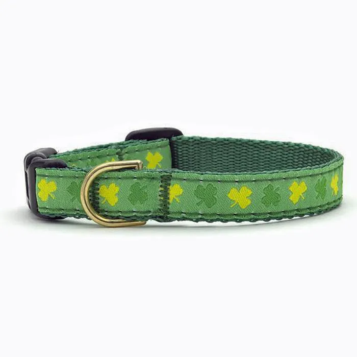 Shamrock Collar & Leashes