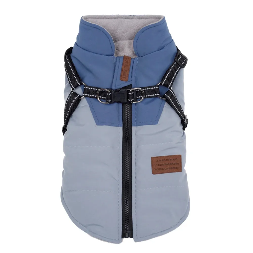 Warm Waterproof Dog Coat with Harness
