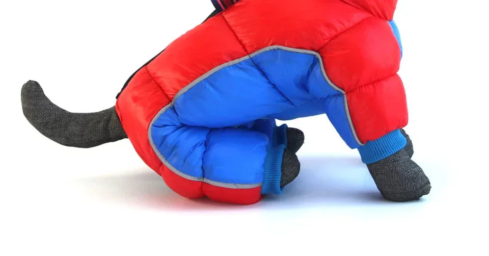 Winter Warm Jacket for Small to Medium Dogs - Waterproof & Reflective