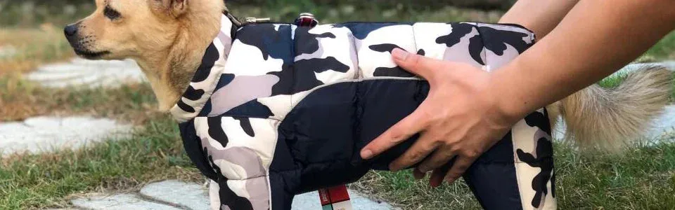 Winter Warm Jacket for Small to Medium Dogs - Waterproof & Reflective