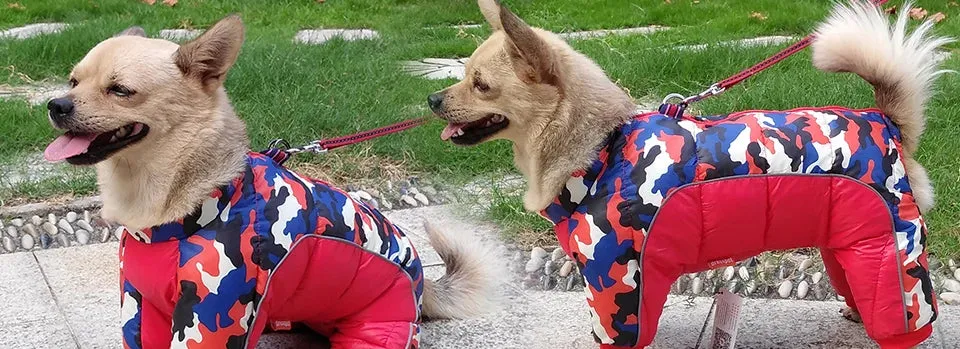 Winter Warm Jacket for Small to Medium Dogs - Waterproof & Reflective