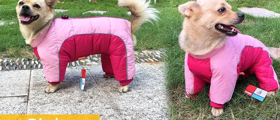 Winter Warm Jacket for Small to Medium Dogs - Waterproof & Reflective