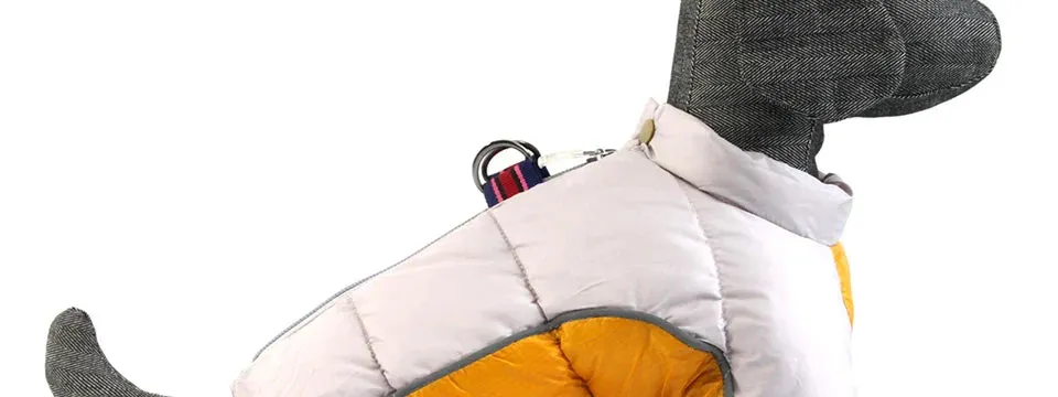Winter Warm Jacket for Small to Medium Dogs - Waterproof & Reflective