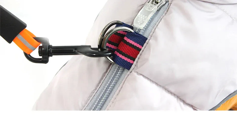 Winter Warm Jacket for Small to Medium Dogs - Waterproof & Reflective
