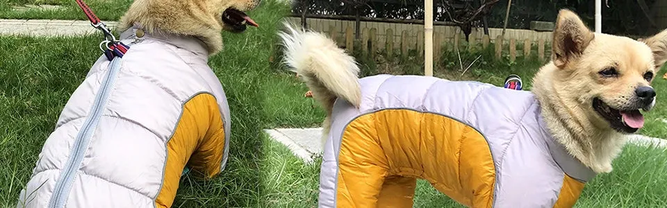 Winter Warm Jacket for Small to Medium Dogs - Waterproof & Reflective